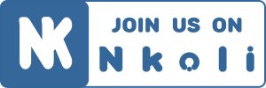 From Facebook to Nkoli.com